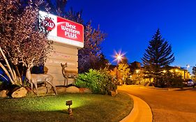Best Western Plus Deer Park Hotel And Suites